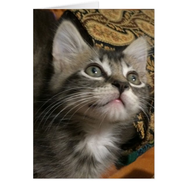 Carte "Continuez à regarder" (Devant)