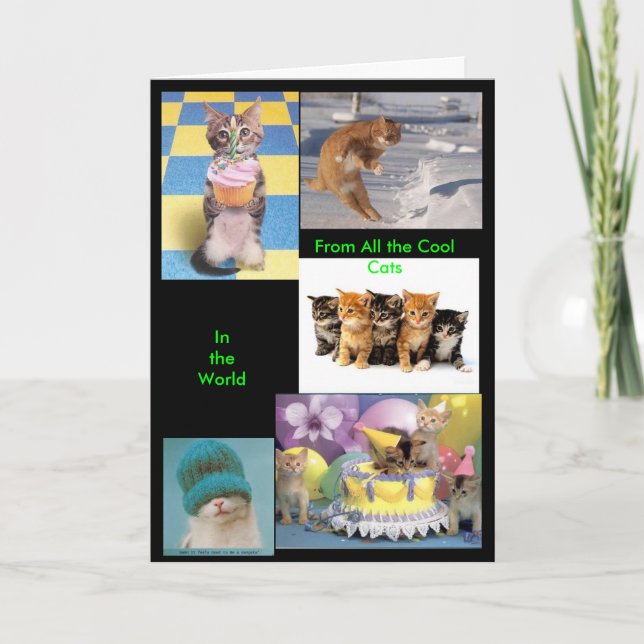 Carte Cool Cat Card (Devant)