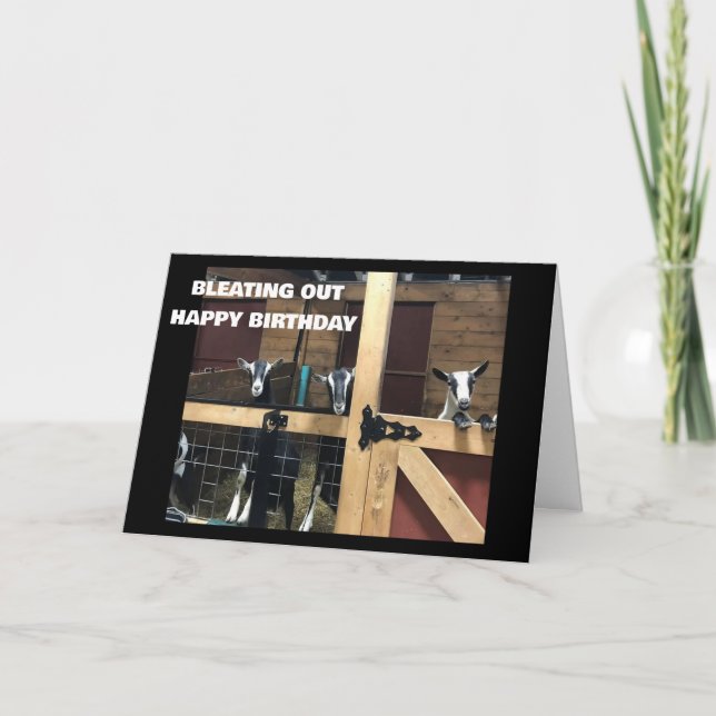 Carte COOL GOATS BLEAT OUT "HEUREUX 40ème anniversaire" (Devant)