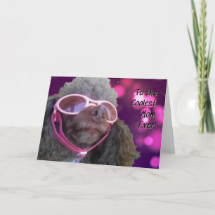 Carte Cool Maman Poodle Bonne Fête des mères