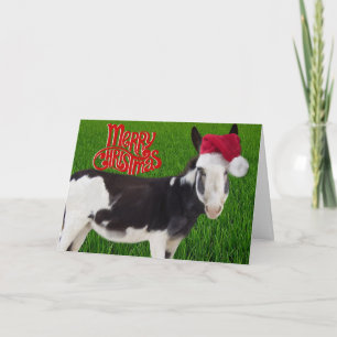 Carte Cooper Donkey Christmas