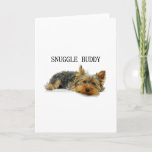 Carte copain de pelotage yorkshire-terrier