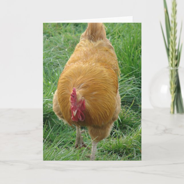 Carte Coq Buff (Devant)