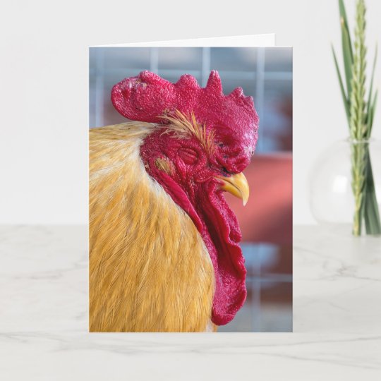 Carte Coq De Sommeil Pour L Humour D Anniversaire Zazzle Fr