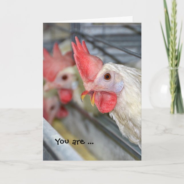 Carte coq en cage humour d'anniversaire (Devant)