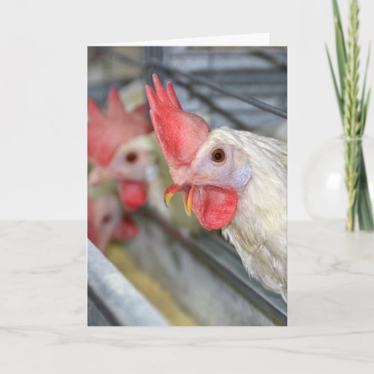 Carte Coq Humoristique D Anniversaire Dans La Cage Zazzle Fr