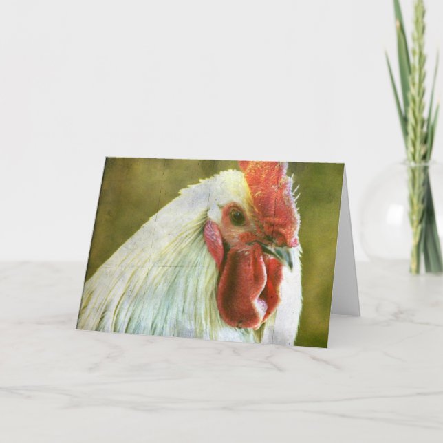 Carte Coq Toutes les occasions (Devant)
