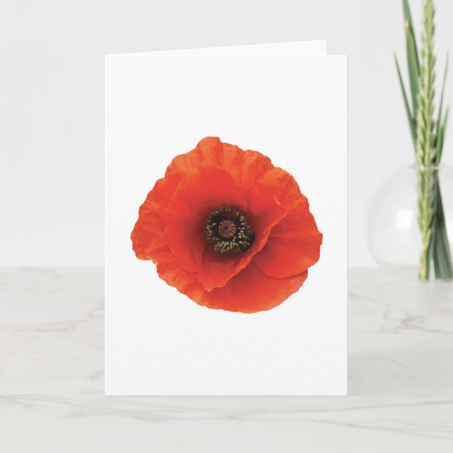 Carte Coquelicot (Devant)
