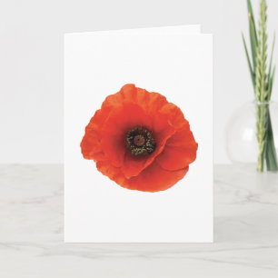 Carte Coquelicot