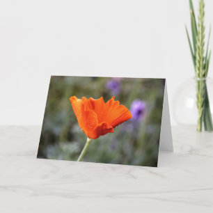 Carte Coquelicot de chiffon orange et mur