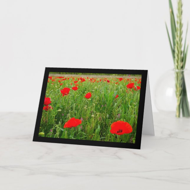 Carte Coquelicots et fleurs sauvages (Devant)