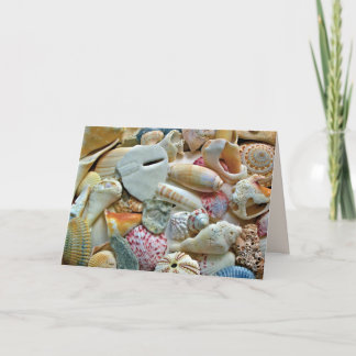 Carte Coques de plage colorées Nota blanc