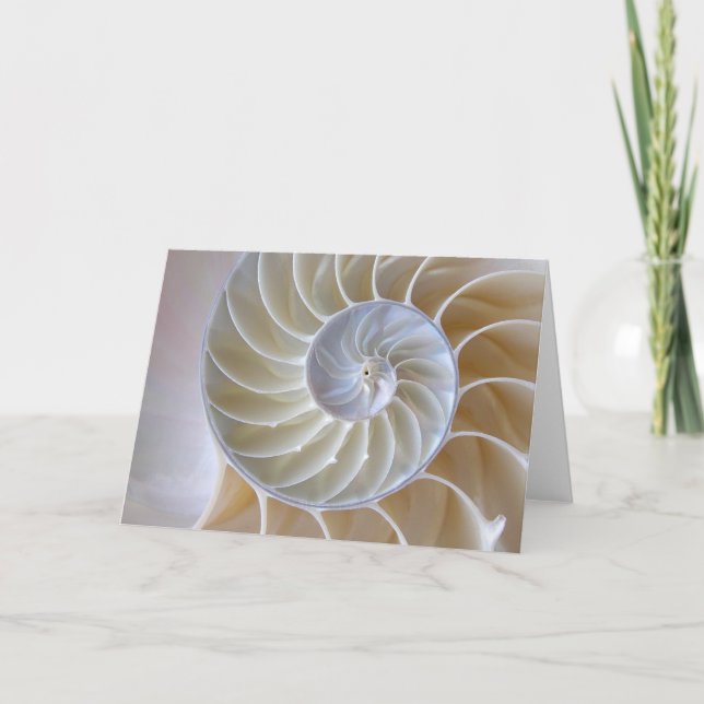 Carte Coquillage de Nautilus| Spirale dorée (Devant)