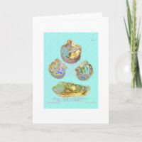 Coquillage sur le bleu d'oeufs de merles