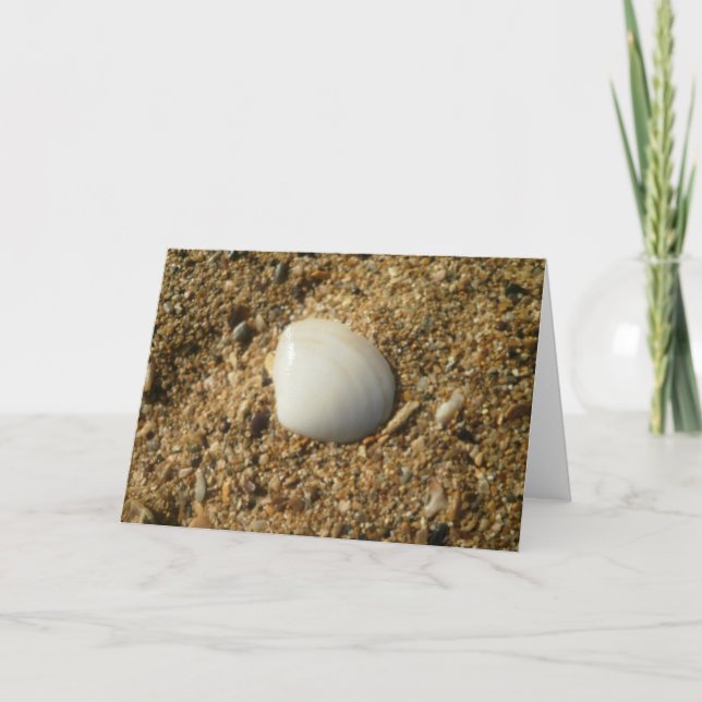Carte Coquille blanche sur la plage (Devant)