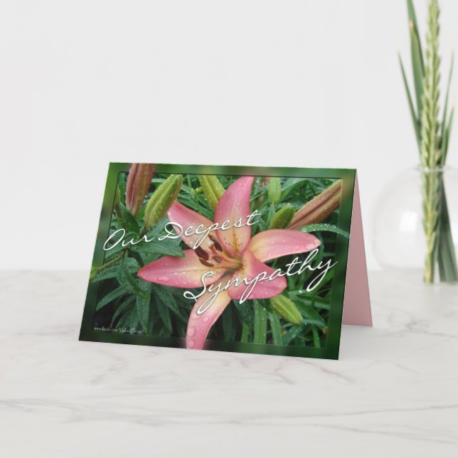 Carte Coral Lily Sympathy (Devant)