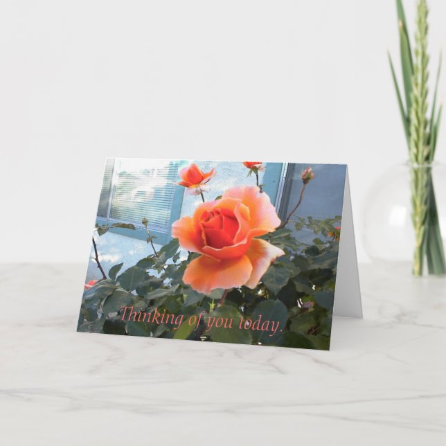 Carte Coral Rose Card, Je pense à vous aujourd'hui. (Devant)