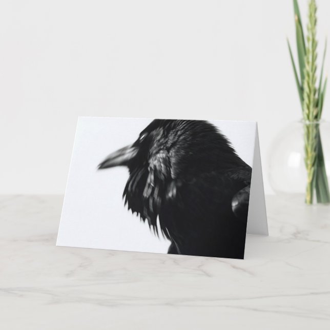 Carte Corax de Corvus (Raven commun) (Devant)