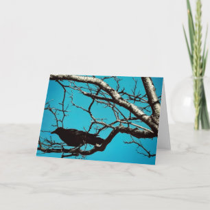 Carte Corbeau noir Corbeau Arbre argenté Ciel bleu Photo