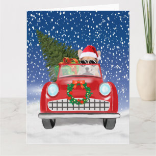 Carte Corgi Chien Conduisant une Voiture dans la Neige N
