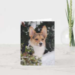 Carte Corgi dans la neige