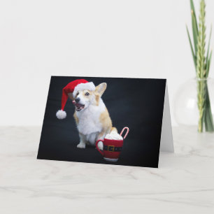 Carte Corgi de Noël se léchant les babines