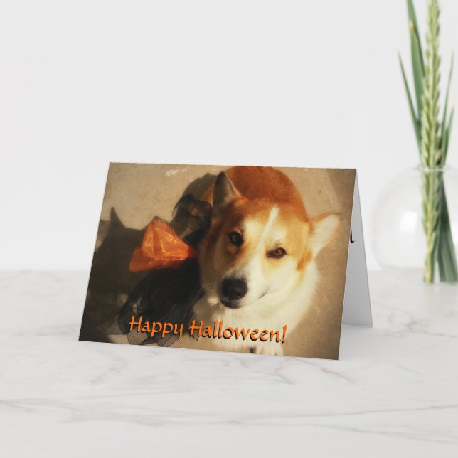 Carte Corgi Halloween (Devant)