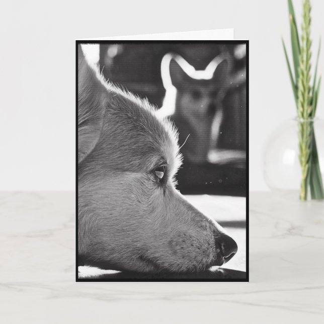 Carte Corgi Missing You (Devant)