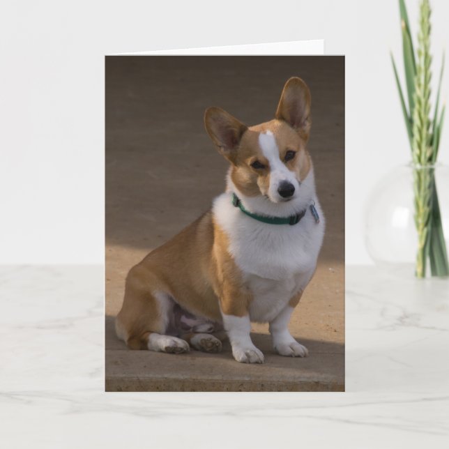 Carte Corgi Portrait (Devant)