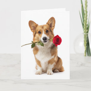 Carte Corgi Saint-Valentin – Grand Amour avec des Pattes