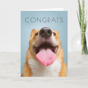 Carte Corgi très heureux des images   de Getty