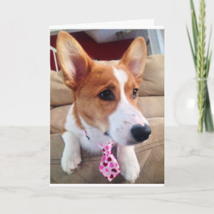Carte Corgi Valentine's Day