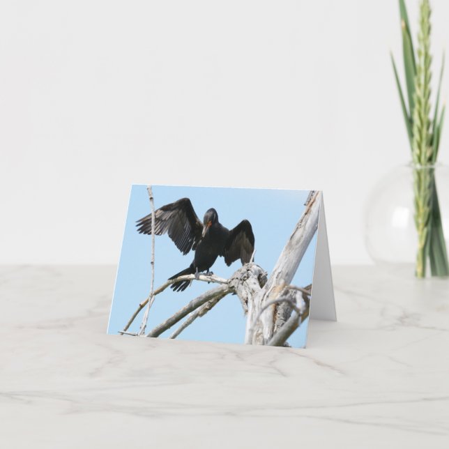 Carte Cormorant using wings (Devant)