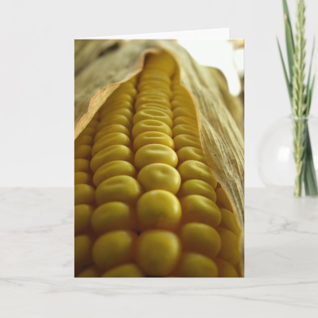 Carte Corn close up greetingcard (Devant)