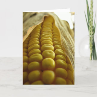 Carte Corn close up greetingcard