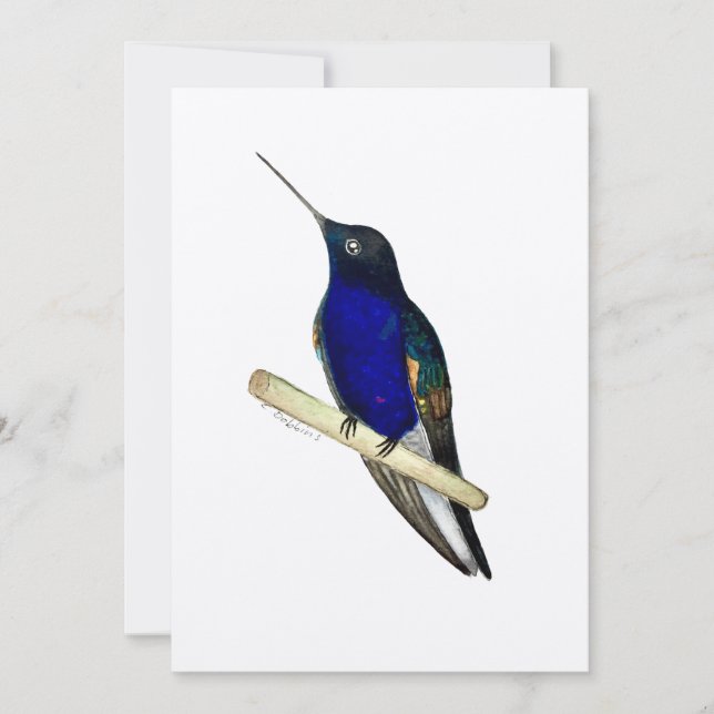 Carte Coronet Hummingbird (Devant)