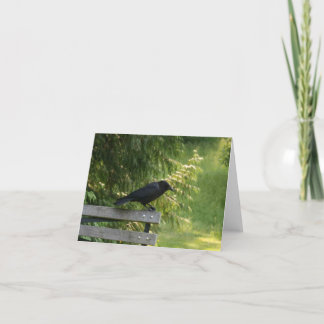 Carte Corvus brachyrhynchos, Corbeau américain