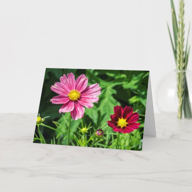 Carte Cosmos Blank Note Card (Devant)