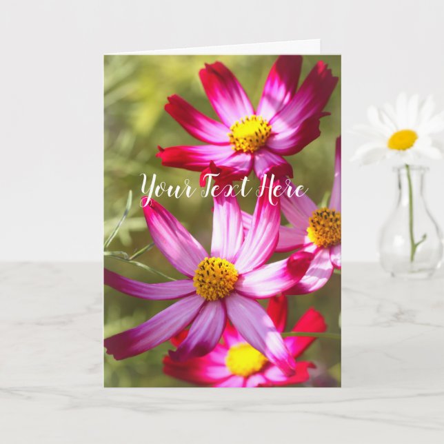 Carte Cosmos [Carte de voeux] (Petite plante)
