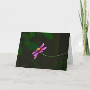 Carte Cosmos Fleurs-Gratitude : avec devis