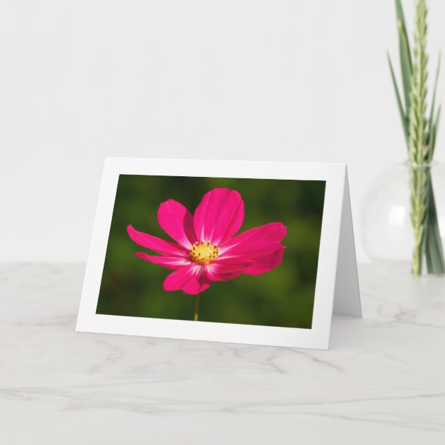 Carte Cosmos rose (Bordé) (Devant)