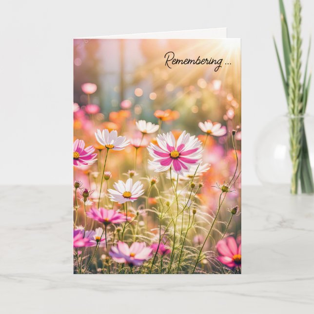 Carte Cosmos rose d'été pour la sympathie (Devant)