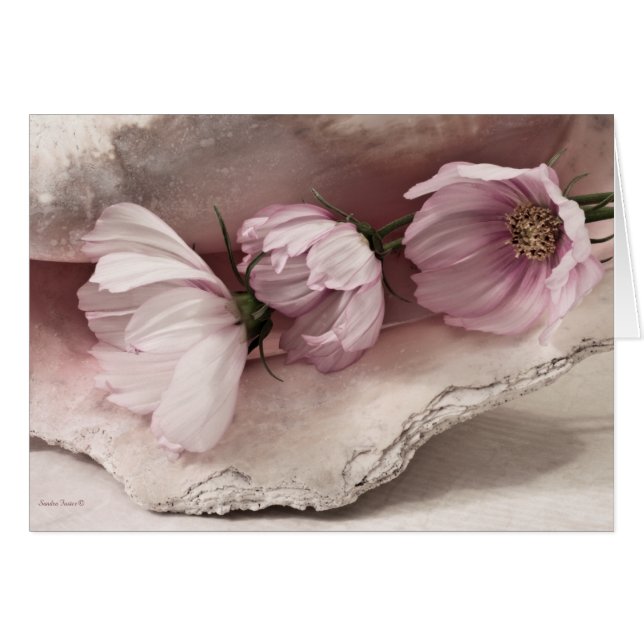 Carte Cosmos Trois Roses (Devant horizontal)