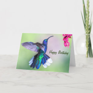 Carte Costa Rica Purple Hummingbird Joyeux Anniversaire