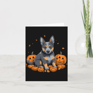 Carte Costume Blue Heeler Citrouille Chien de Bétail Aus