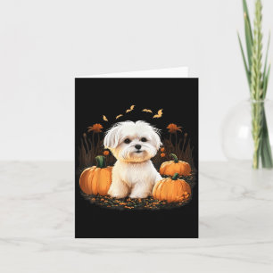 Carte Costume de chien maltais citrouille sur chien malt