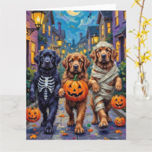 Carte Costumes d'Halloween de Terre-Neuve-et-Labrador