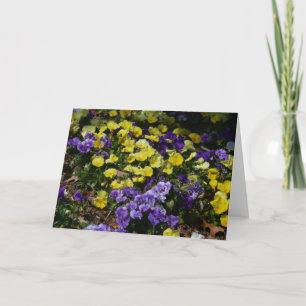 Carte Coteau de panneaux violets et jaunes