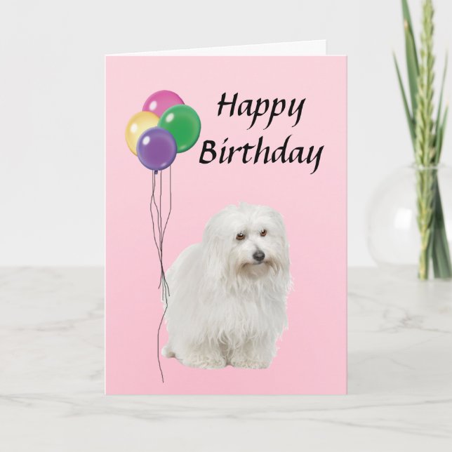 Carte Coton De Tulear avec Ballons Joyeux anniversaire (Devant)