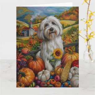 Carte Coton De Tulear Chien Automne Récolte Thanksgiving